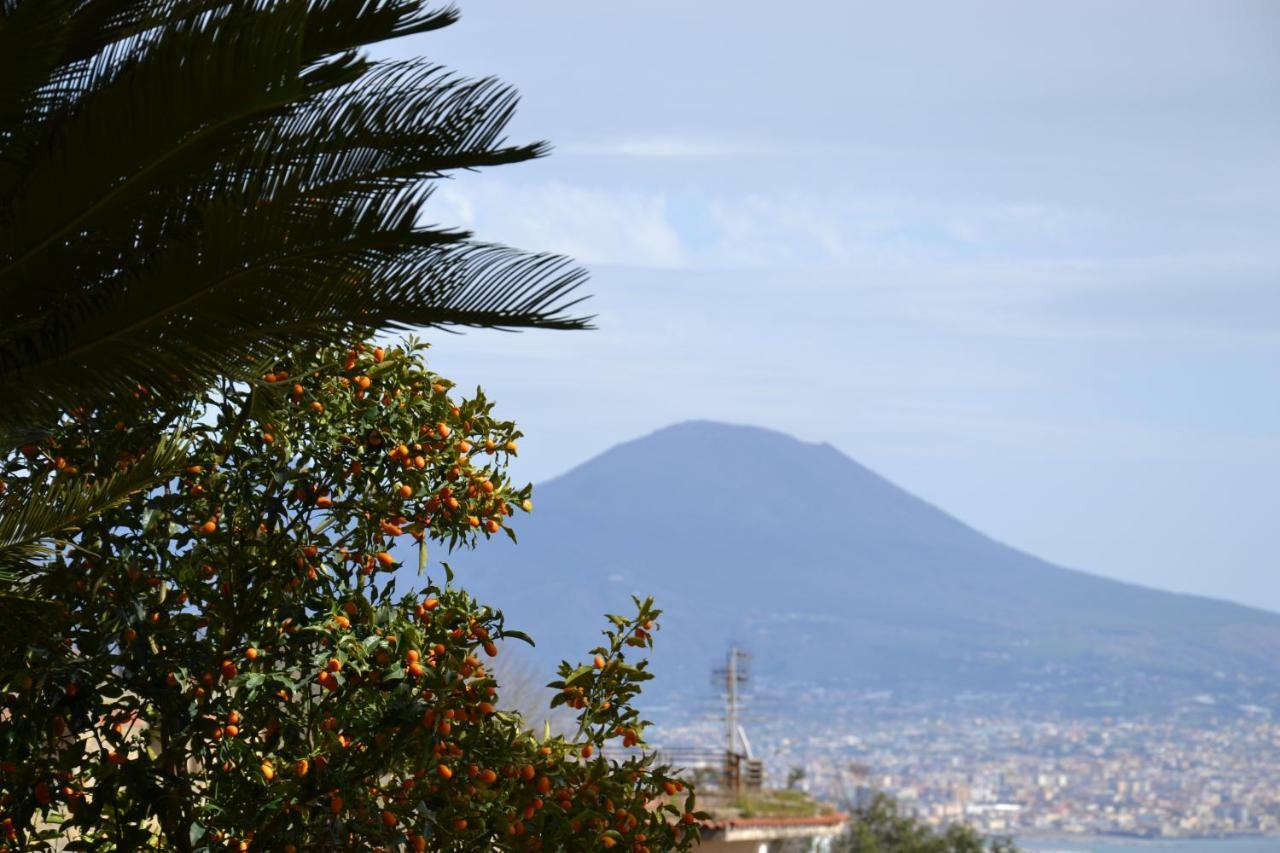 Casa Del Cedro Lejlighed Napoli Eksteriør billede