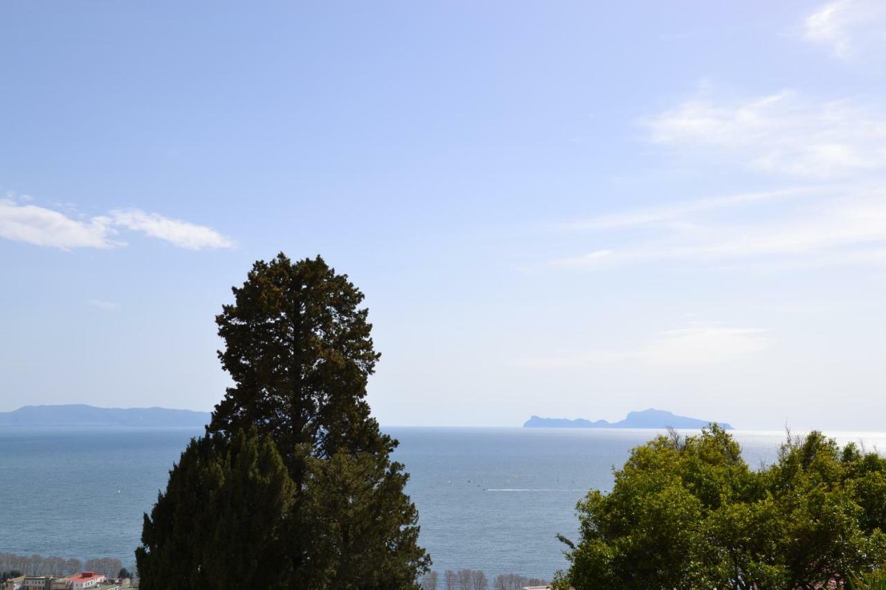 Casa Del Cedro Lejlighed Napoli Eksteriør billede
